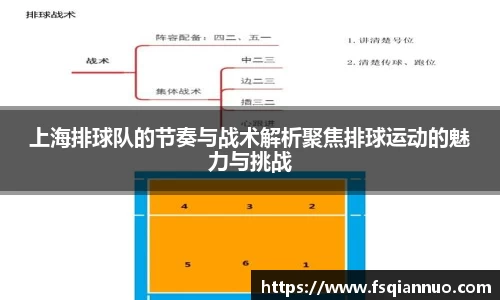 球信网平台