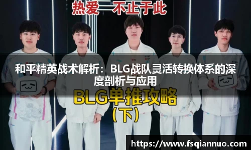 球信网