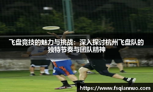 球信网平台