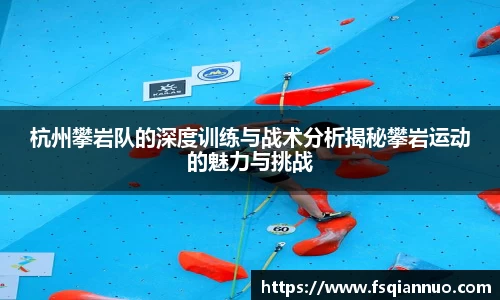 球信网