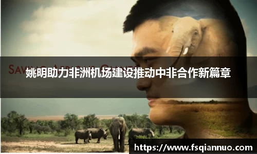 球信网平台