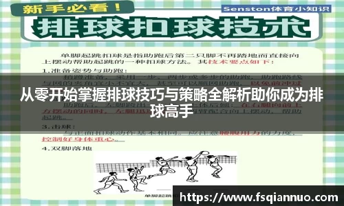 球信网平台
