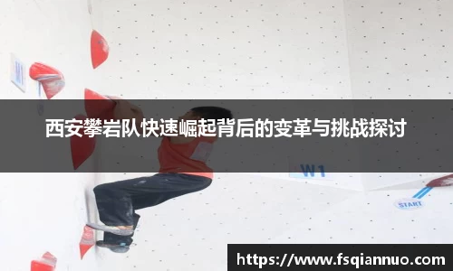 球信网平台