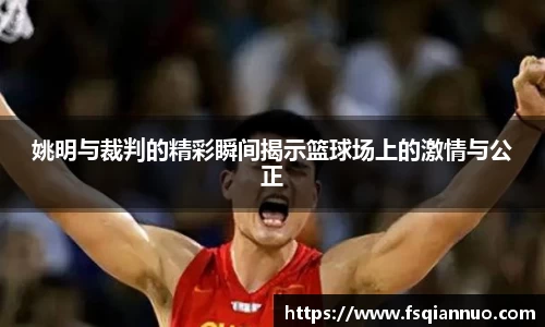 球信网平台