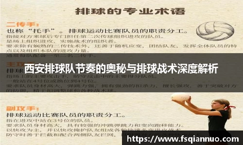 球信网下载