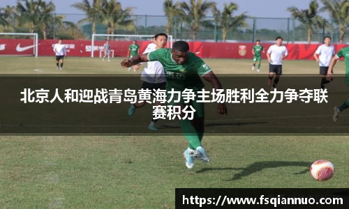 球信网平台
