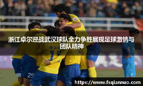 球信网平台