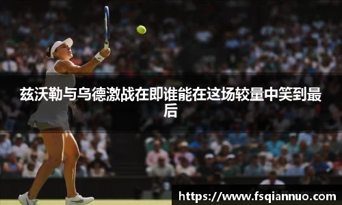 球信网