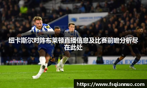 球信网平台