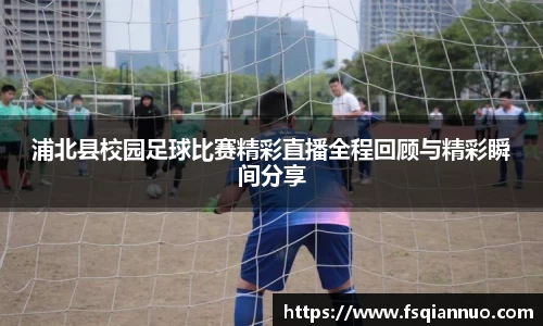球信网网址