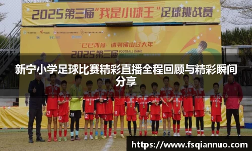 球信网网址