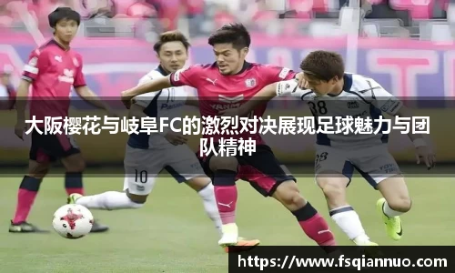 球信网