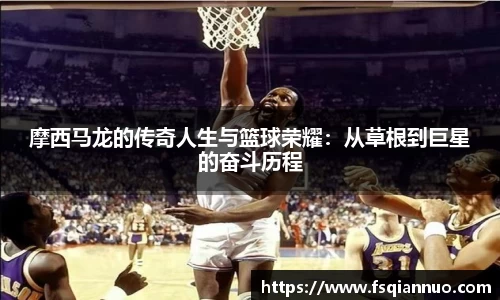球信网下载