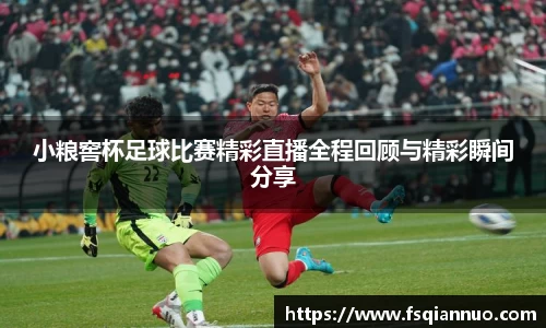 球信网平台