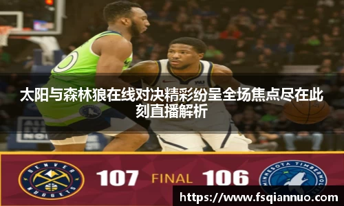 球信网