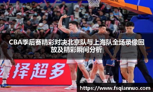 球信网