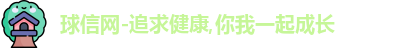 球信网